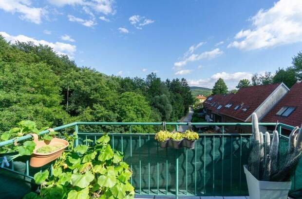 Terrassenwohnung kaufen in 3013 Tullnerbach (Bild 3)