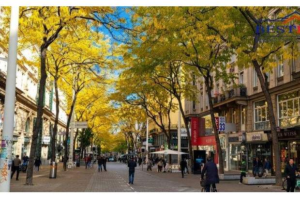 Einzelhandel mieten in 1060 Wien (Bild 1)