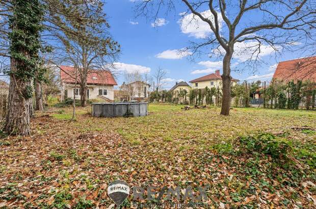 Grundstück kaufen in 2231 Strasshof (Bild 3)