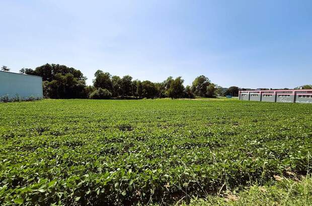 Gewerbeobjekt mieten in 7400 Oberwart (Bild 1)