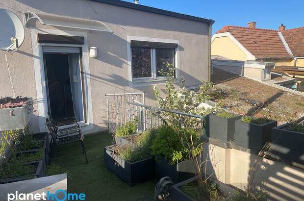 Einfamilienhaus kaufen in 2751 Steinabrückl (Bild 4)