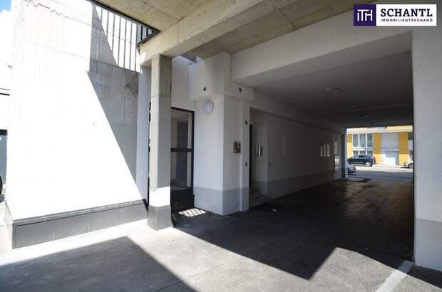 Terrassenwohnung kaufen in 1200 Wien (Bild 3)