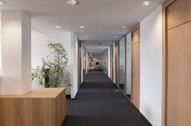 Gewerbeobjekt mieten in 2345 Brunn (Bild 4)