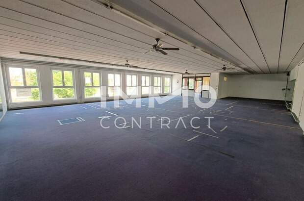 Gewerbeobjekt mieten in 4053 Ansfelden (Bild 2)