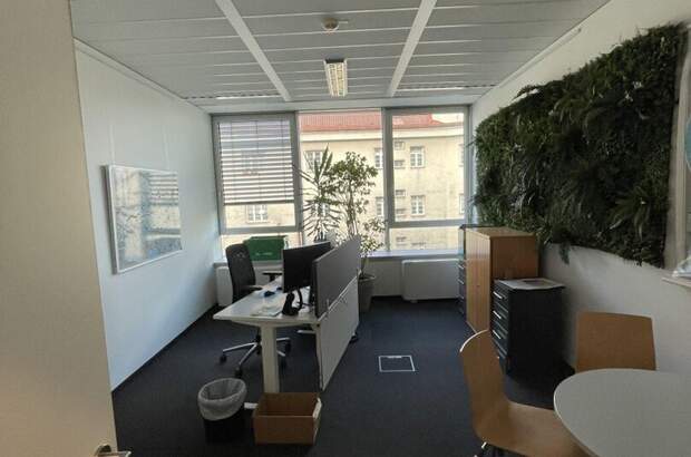 Gewerbeobjekt mieten in 1090 Wien (Bild 2)