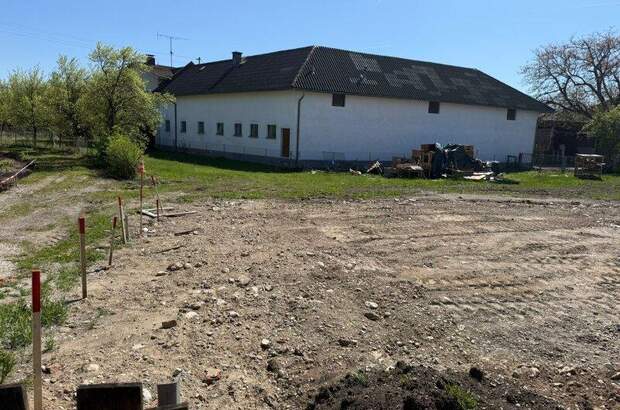 Mehrfamilienhaus kaufen in 4614 Marchtrenk (Bild 3)