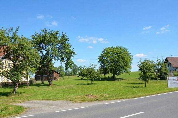 Gewerbeobjekt kaufen in 4912 Neuhofen (Bild 1)