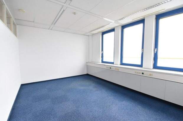 Büro / Praxis mieten in 2351 Wr. Neudorf (Bild 4)
