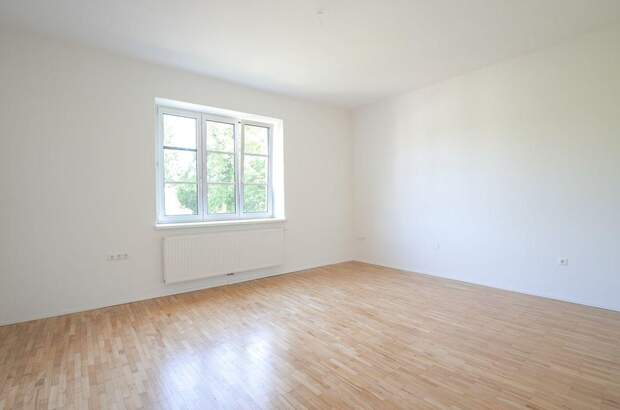 Gewerbeobjekt mieten in 4600 Wels (Bild 4)