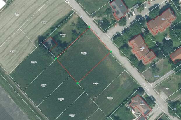Grundstück kaufen in 7035 Steinbrunn (Bild 1)