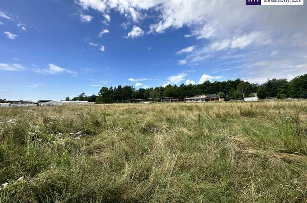 Grundstück kaufen in 8141 Unterpremstätten (Bild 5)