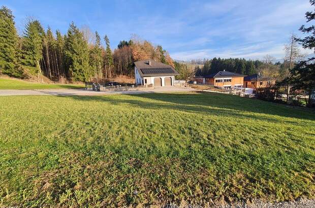 Grundstück kaufen in 4441 Behamberg (Bild 2)