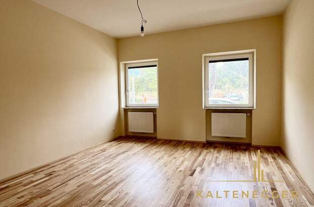 Gewerbeobjekt mieten in 2331 Vösendorf (Bild 3)