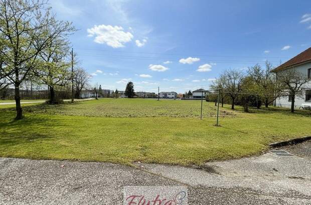 Grundstück kaufen in 4614 Marchtrenk (Bild 2)