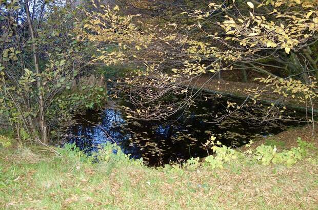 Grundstück kaufen in 3413 Hintersdorf (Bild 5)