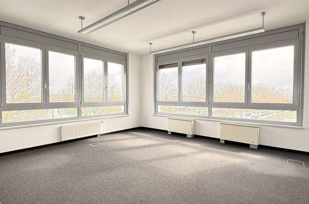 Gewerbeobjekt mieten in 2320 Schwechat (Bild 1)