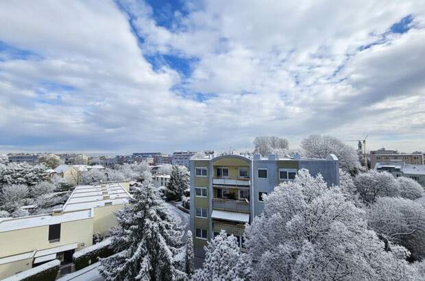 Wohnung kaufen in 2700 Wiener Neustadt (Bild 1)