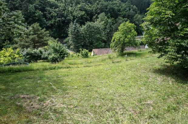 Grundstück kaufen in 3500 Krems (Bild 4)