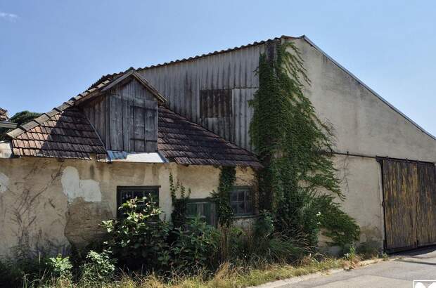 Gewerbeobjekt kaufen in 2011 Oberhautzental (Bild 3)