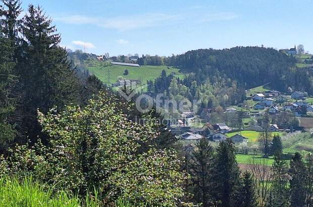 Gewerbeobjekt kaufen in 8152 Krottendorf (Bild 5)