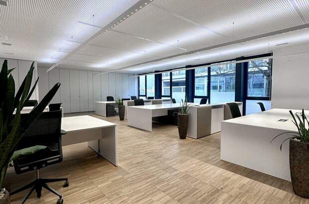 Gewerbeobjekt mieten in 4040 Linz (Bild 2)