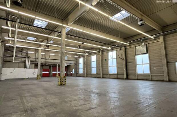 Gewerbeobjekt mieten in 1300 Flughafen Wien (Bild 4)