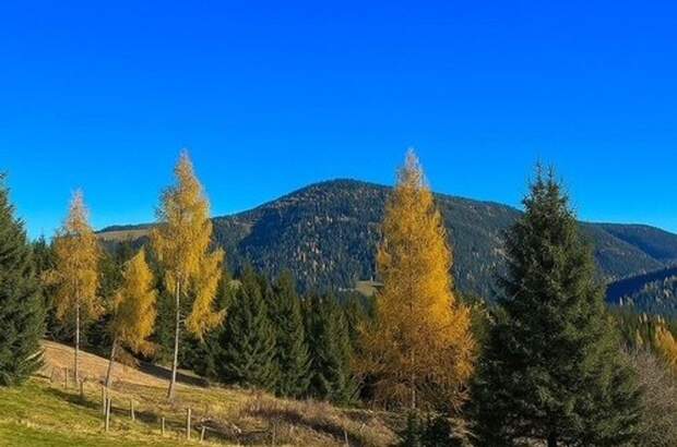 Gewerbeobjekt kaufen in 8850 Murau (Bild 3)