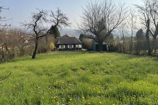 Haus mit Garten mieten in 3400 Klosterneuburg (Bild 4)
