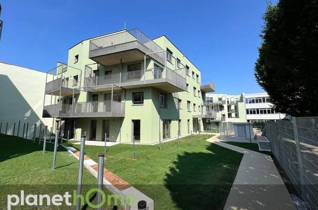 Terrassenwohnung mieten in 2700 Wr. Neustadt (Bild 1)