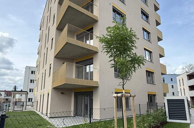 Terrassenwohnung mieten in 2700 Wr. Neustadt (Bild 4)