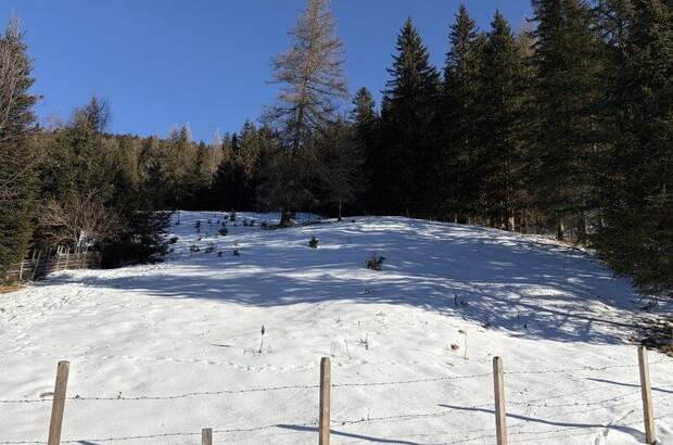 Grundstück kaufen in 9862 Innerkrems (Bild 2)