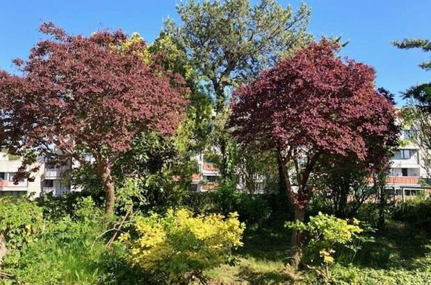Wohnung mit Balkon kaufen in 8042 Graz (Bild 2)
