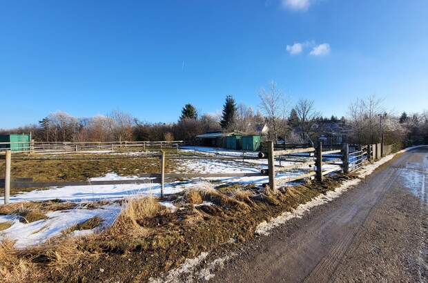 Einfamilienhaus kaufen in 2533 Klausen (Bild 2)