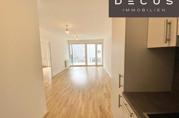 Terrassenwohnung mieten in 1230 Wien (Bild 5)