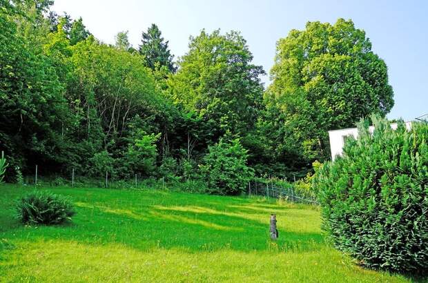 Grundstück kaufen in 3021 Pressbaum (Bild 4)