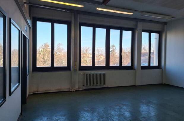 Gewerbeobjekt mieten in 2340 Mödling (Bild 3)