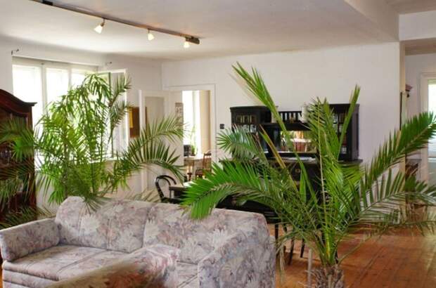 Altbauwohnung kaufen in 3002 Purkersdorf (Bild 2)