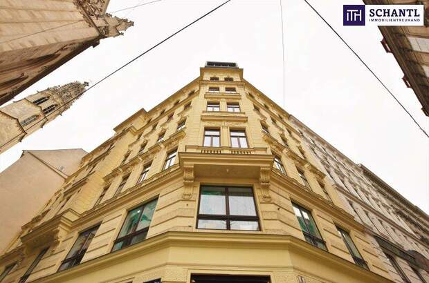 Wohnung mieten in 1010 Wien (Bild 2)