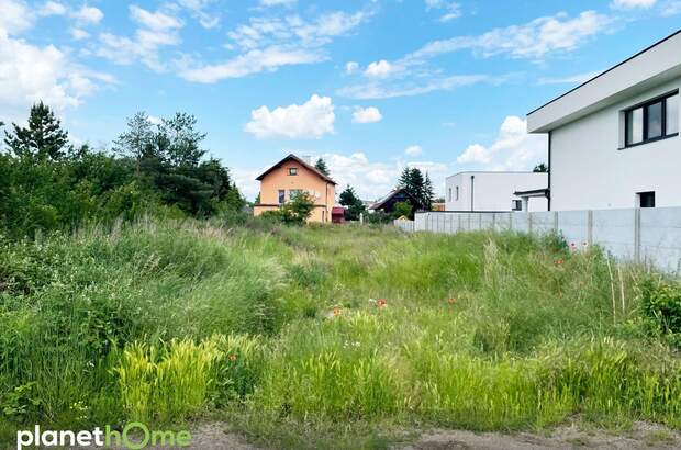 Grundstück kaufen in 2231 Strasshof (Bild 4)