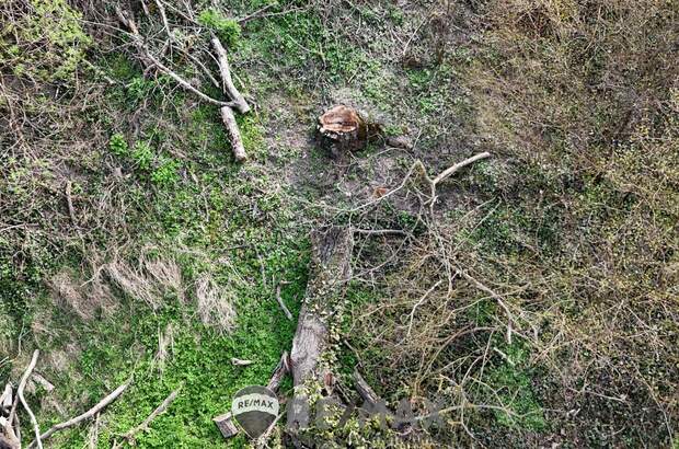 Grundstück kaufen in 3433 Königstetten (Bild 3)