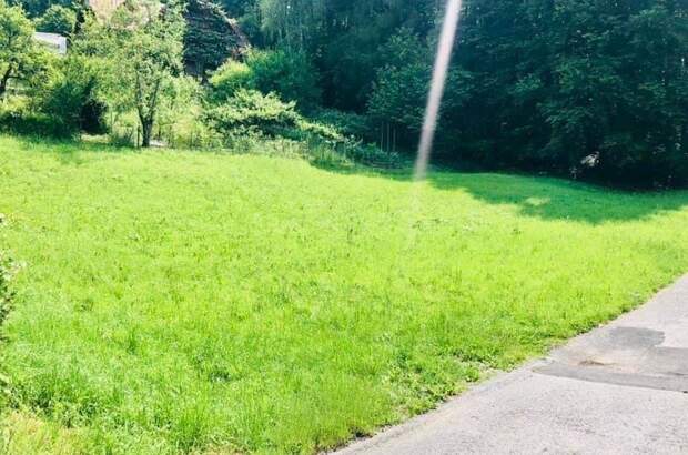 Grundstück kaufen in 8076 Vasoldsberg (Bild 3)