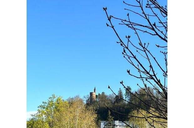 Reihenhaus kaufen in 4600 Wels