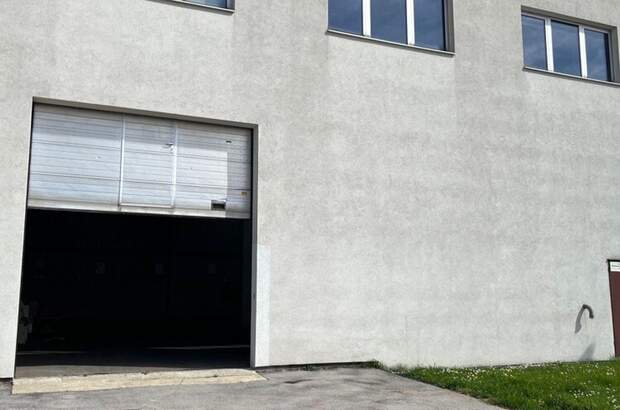 Gewerbeobjekt mieten in 2334 Vösendorf (Bild 5)
