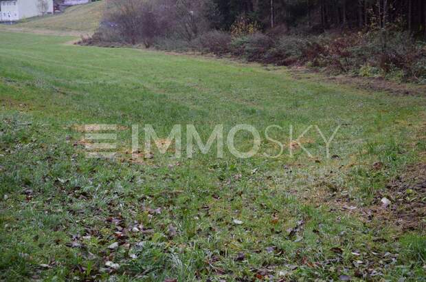 Grundstück kaufen in 4201 Gramastetten (Bild 4)