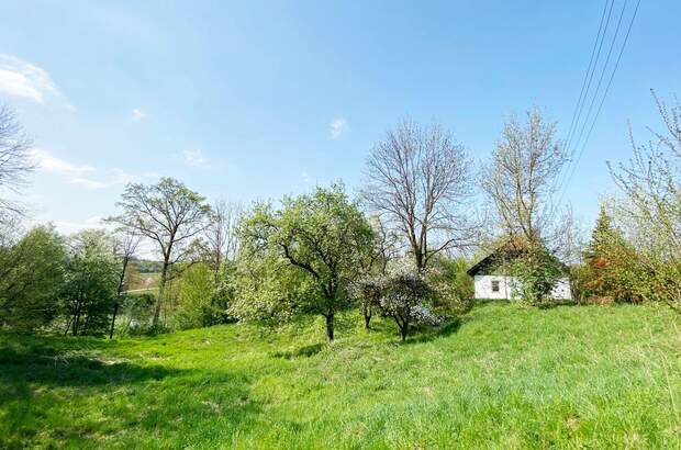 Grundstück kaufen in 4650 Hagenberg