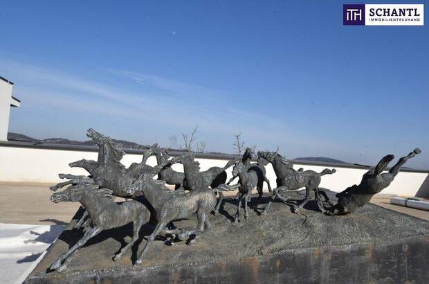 Terrassenwohnung kaufen in 8113 Sankt Bartholomä (Bild 2)