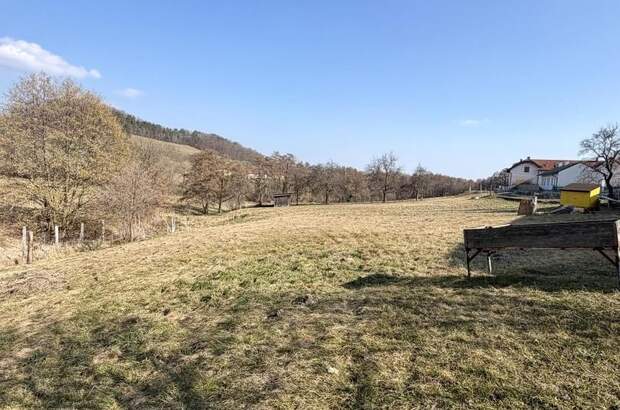 Einfamilienhaus kaufen in 2803 Schwarzenbach (Bild 4)