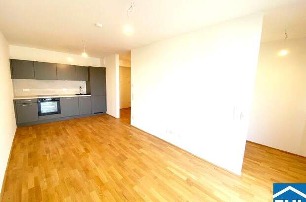 Terrassenwohnung mieten in 1110 Wien (Bild 1)