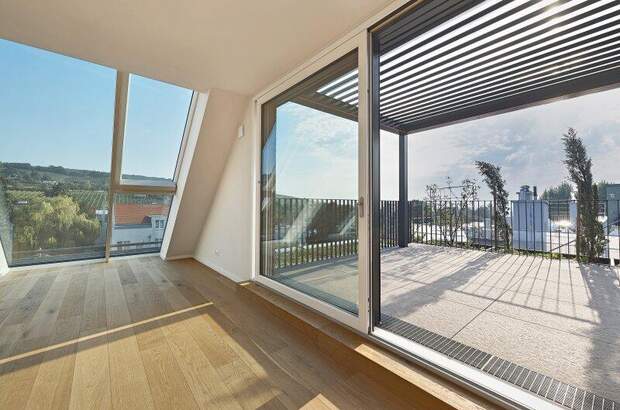 Terrassenwohnung kaufen in 1190 Wien (Bild 1)