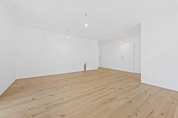 Terrassenwohnung kaufen in 2540 Bad Vöslau (Bild 5)